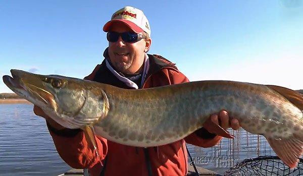 Woman Attacked by Big Musky - Wired2Fish