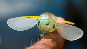 DUO Realis Shinmushi Cicada Bug Review - Wired2Fish