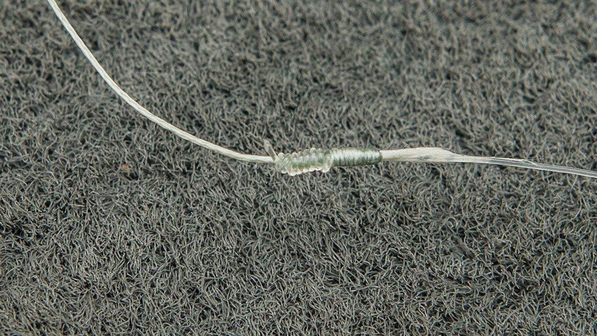 HISEAS 100 Fluorocarbon Fishing Line Review Wired2Fish