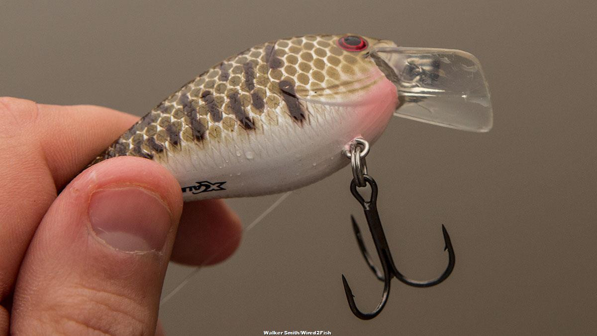 XCalibur XCS Square Lip Crankbait Review - Wired2Fish