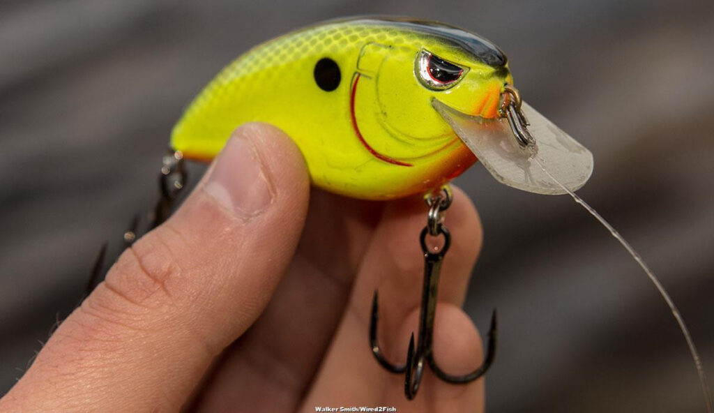 SPRO Fat John 60 Crankbait Review - Wired2Fish