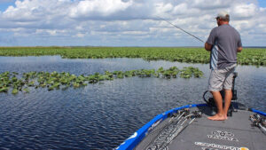 Bass Fishing in Lily Pads