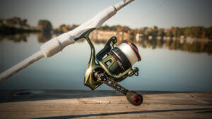 Abu Garcia Zata Spinning Reel Review