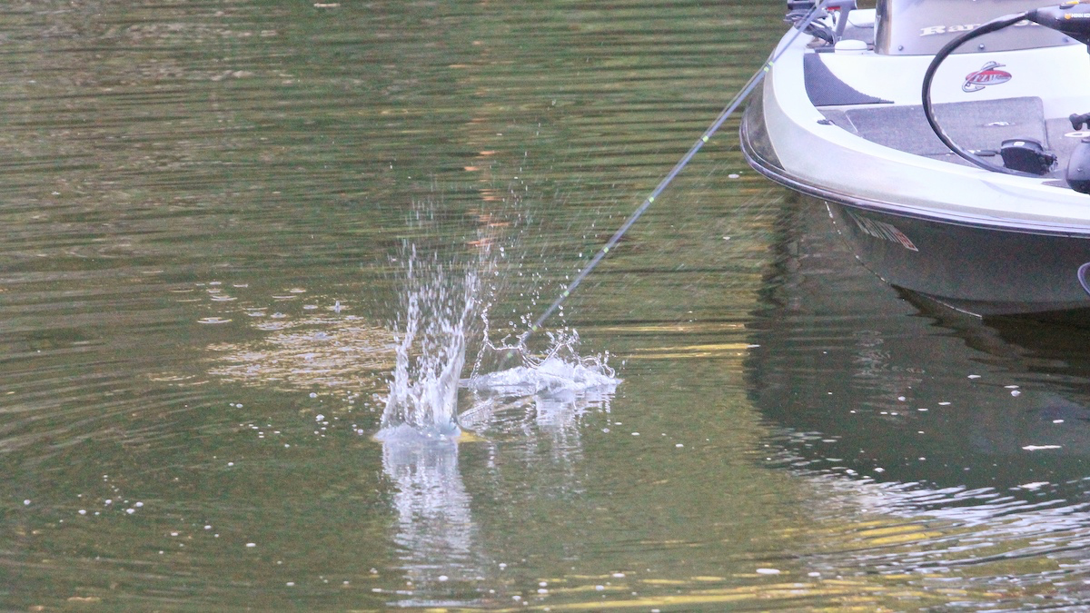 fisherman slapping a bass fishing lure on the water