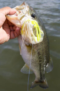 BURNING Chatterbaits For Bass And Pike 