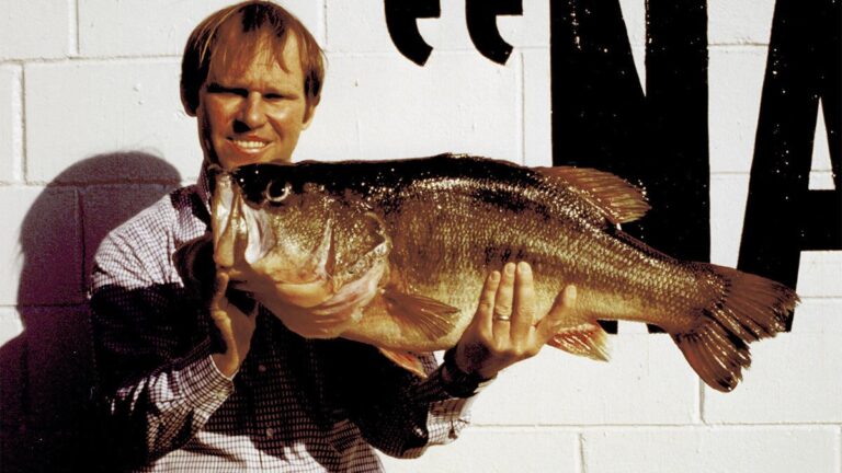 largest bass in the world
