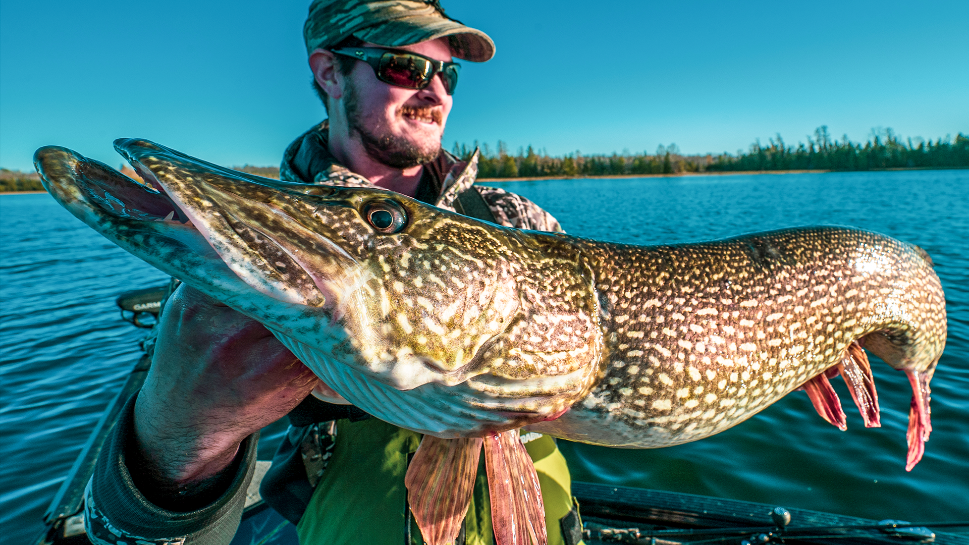 Multispecies Systems That Catch Fall Pike — Fish Face Goods