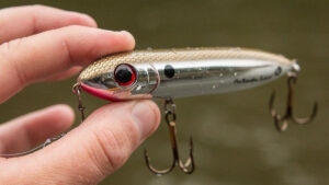 Heddon One Knocker Spook Review - Wired2Fish