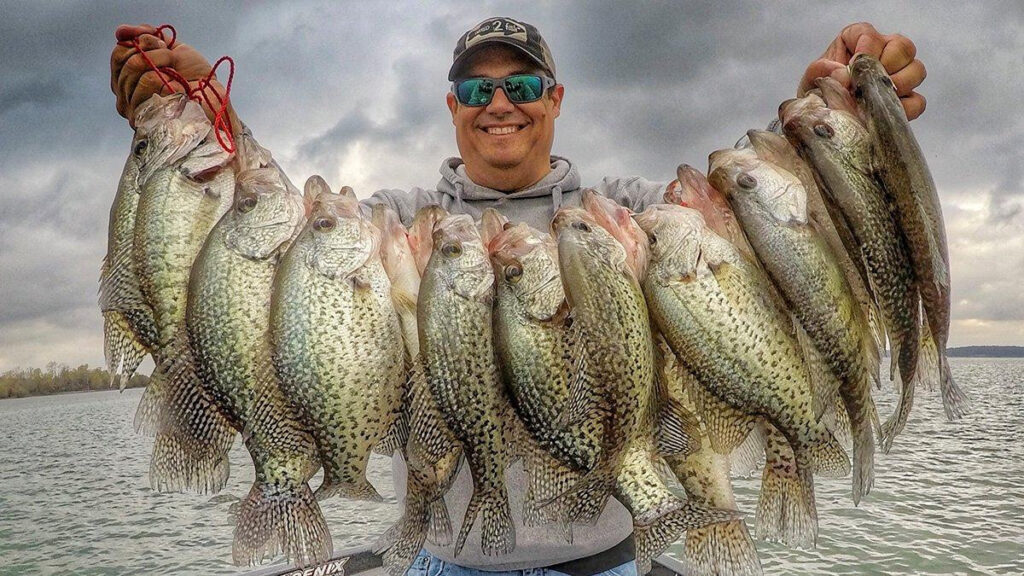 Bobby Garland Baby Shad Review Wired2Fish