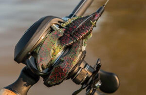 berkley-havoc-craw-fatty-on-bass-fishing-reel.jpg