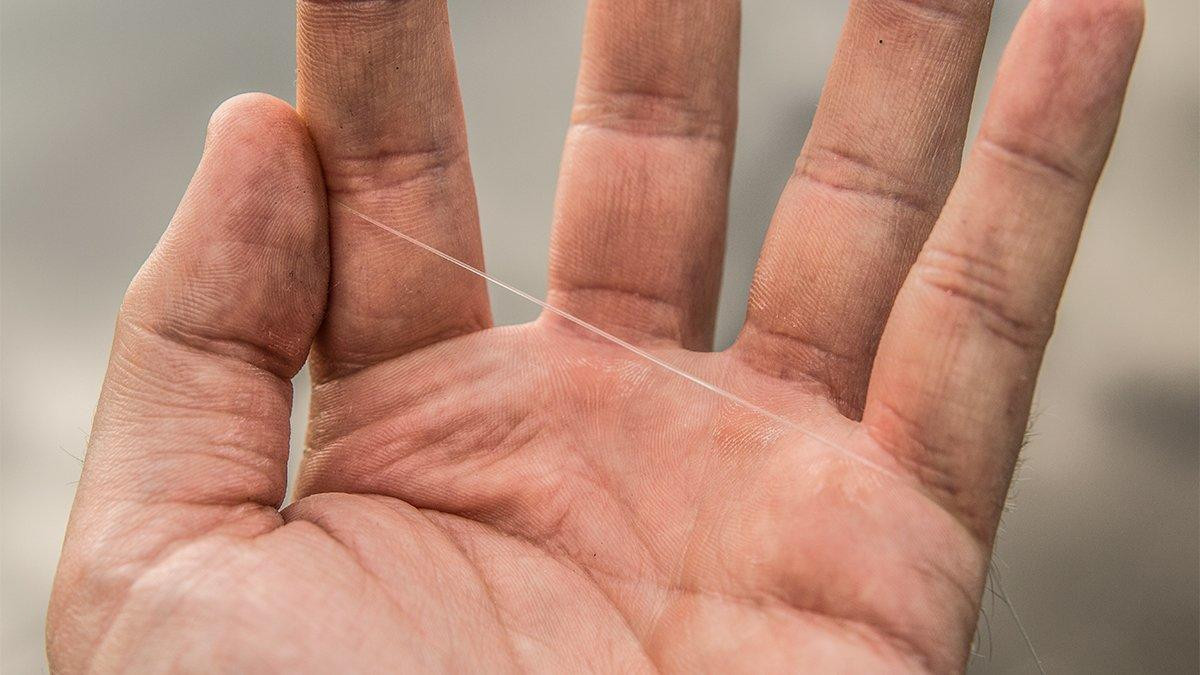 Seaguar Red Label Fluorocarbon Review Wired2Fish