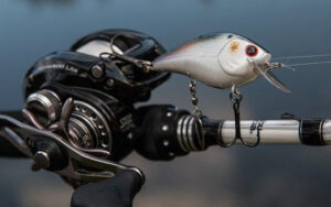 lucky-craft-lc-spin-on-bass-fishing-reel.jpg