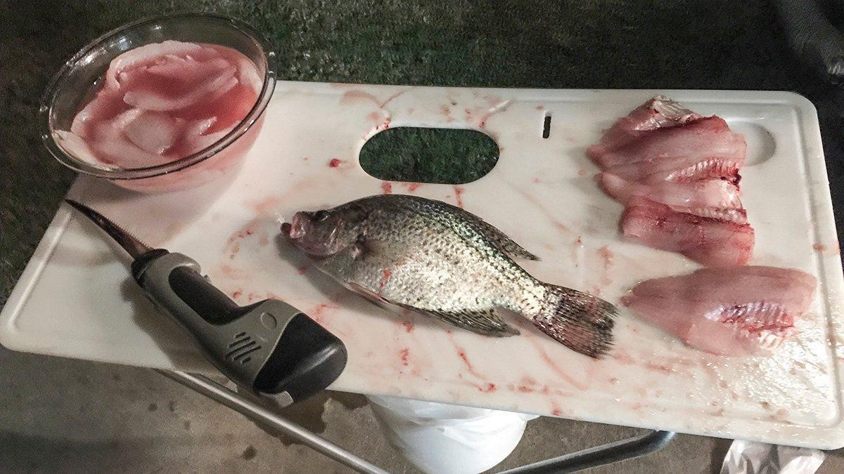 How to Prepare Fish for Fast Cooking - Wired2Fish