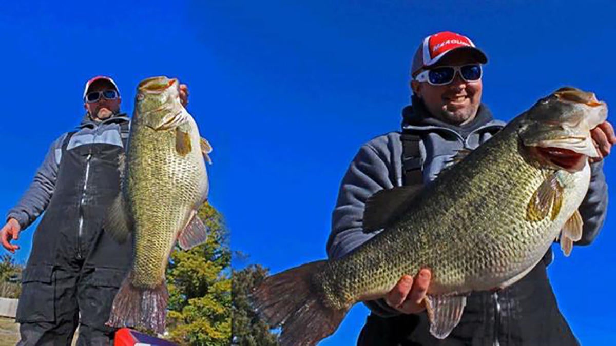 tennessee state record largemouth bass