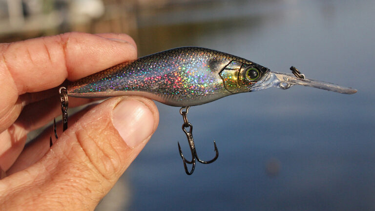 Hardcore Shad SR 60 Crankbait Review