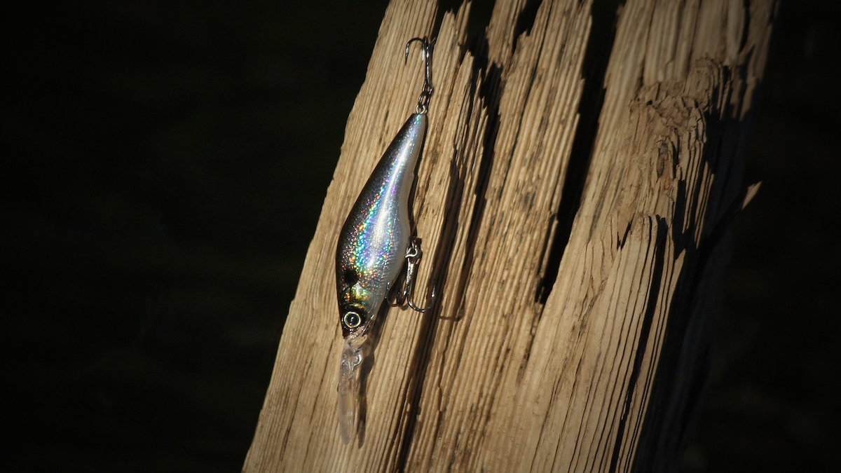 bass fishing lure on a piece of driftwood
