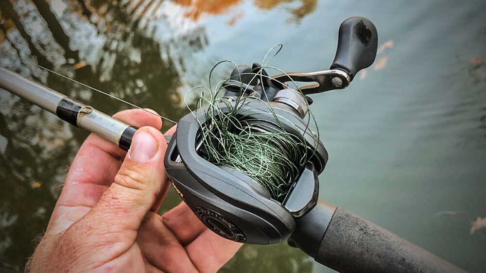 3 Easy Ways to Pick out Backlashes - Wired2Fish