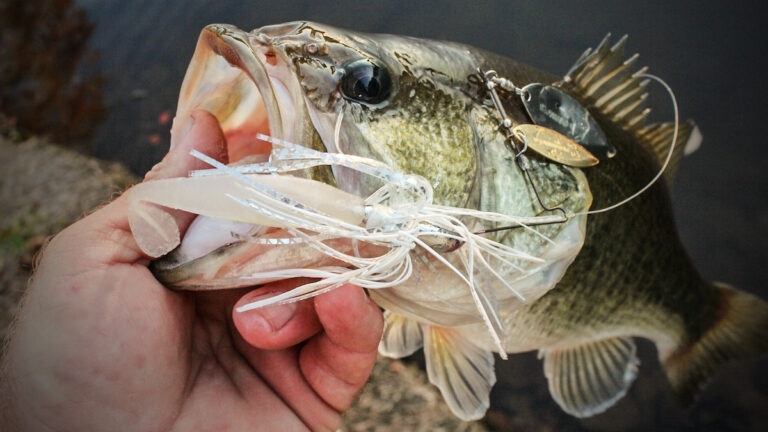 4 Spinnerbait Trailers You Should Try This Year