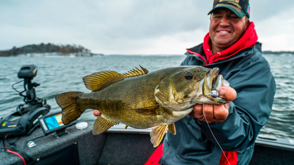 Swimbait Basics for Fall and Winter Smallmouth Bass - Wired2Fish