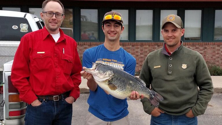 34 of the Biggest State Record Largemouth Bass