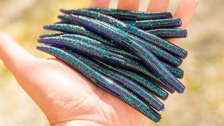 5 Must-Have Bass Fishing Baits for Co-Anglers