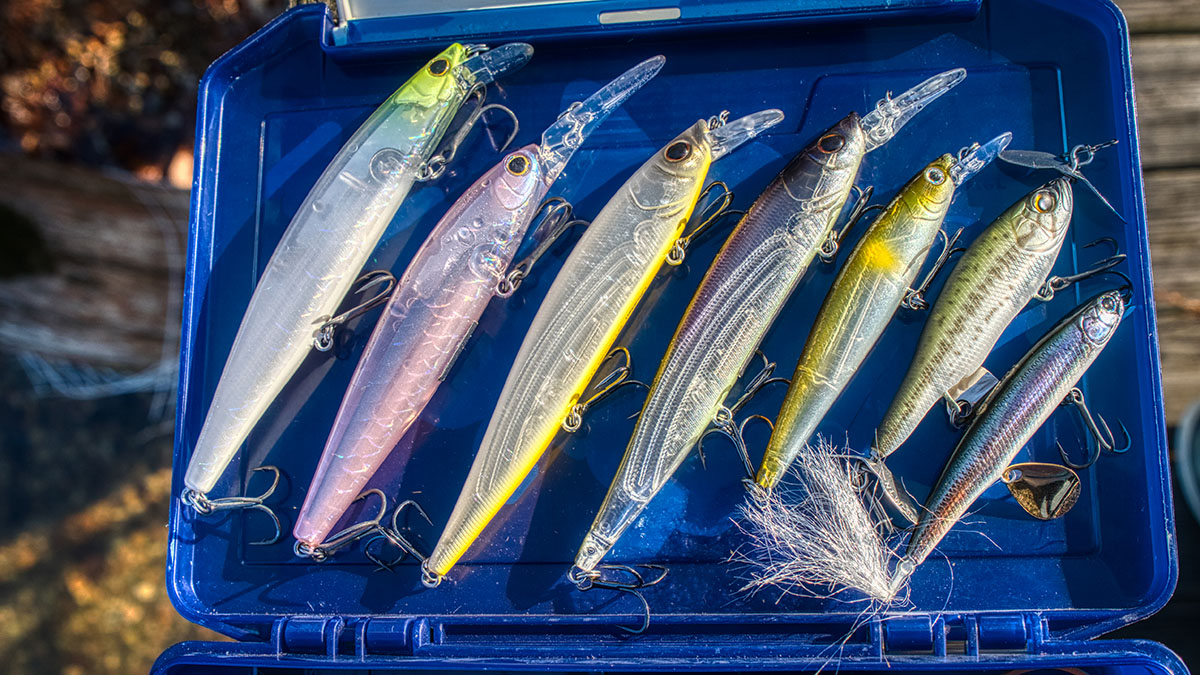 7 hard lure stickbaits for bass fishing this winter