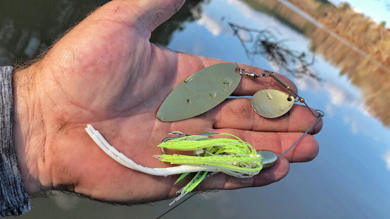 Choosing the Right Bladed Bait for Muddy Water