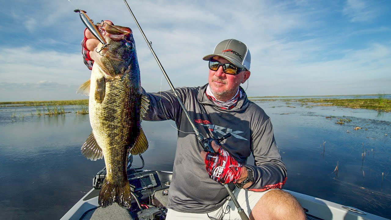 Top 5 Baits for Florida Bass Fishing  Tharp's Simple Approach - Wired2Fish