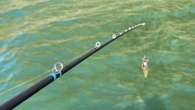 Loomis NRX Casting Rod Review Wired2Fish, 55% OFF