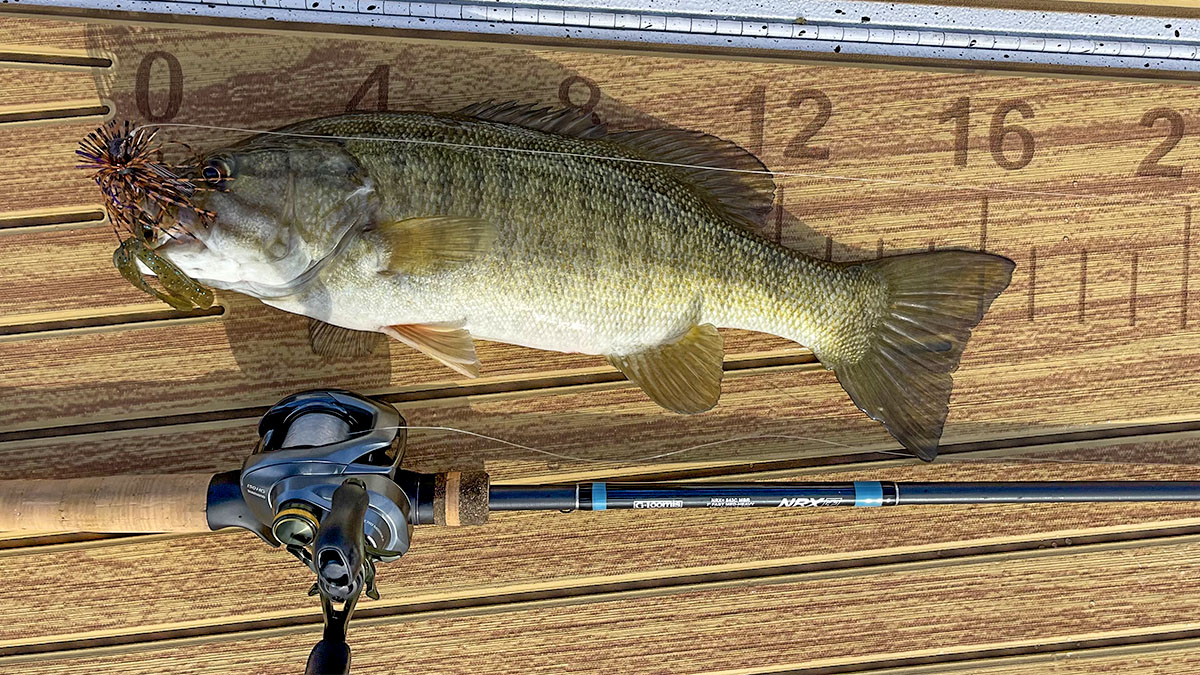 deep caught smallmouth on NRX+