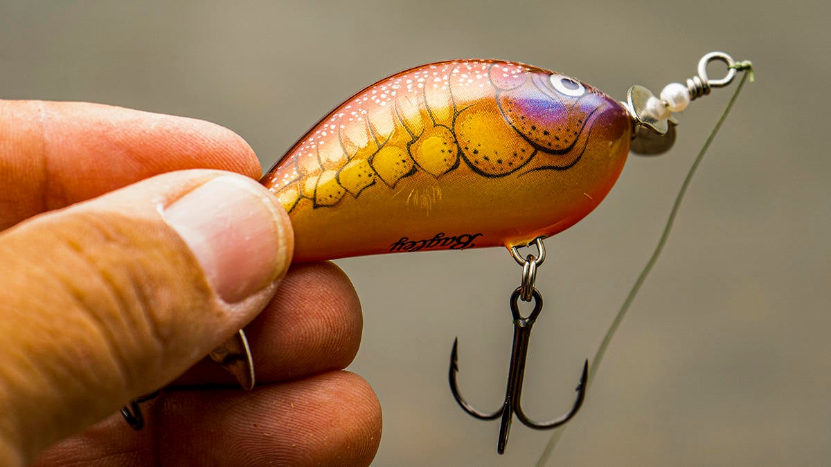 Bagley Baits Sunny B Twin Spin - Wired2Fish