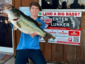 Angler Catches 14-Plus-Pound Largemouth on Video