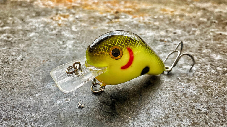 8 Bass Fishing Lures That Aren’t Getting Enough Attention