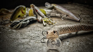 8 Bass Fishing Lures That Aren’t Getting Enough Attention