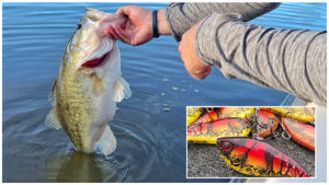 3 Big-Time Advantages of Buying Fishing Tackle in Bulk