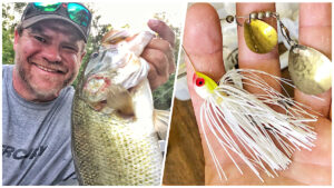 How to Build Your Own Bass Fishing Spinnerbaits