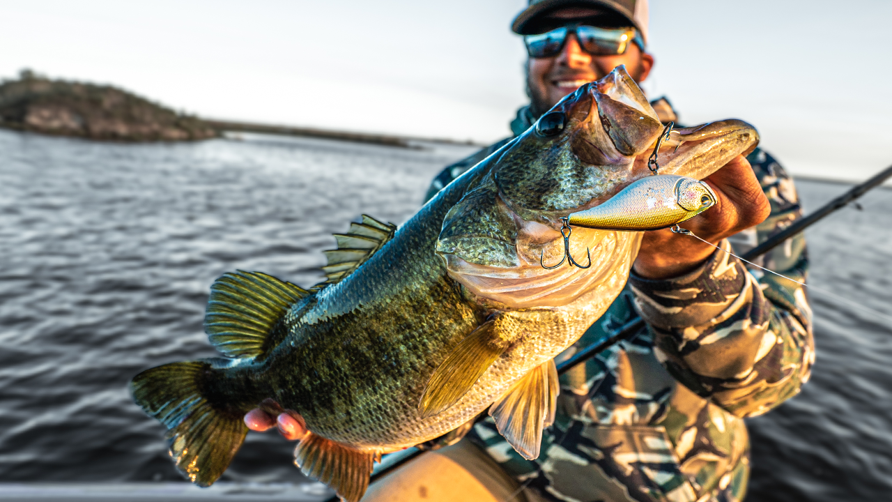 Prespawn Lipless Crankbait Mastery: Best Colors for Largemouth Bass at Lake  Fork 