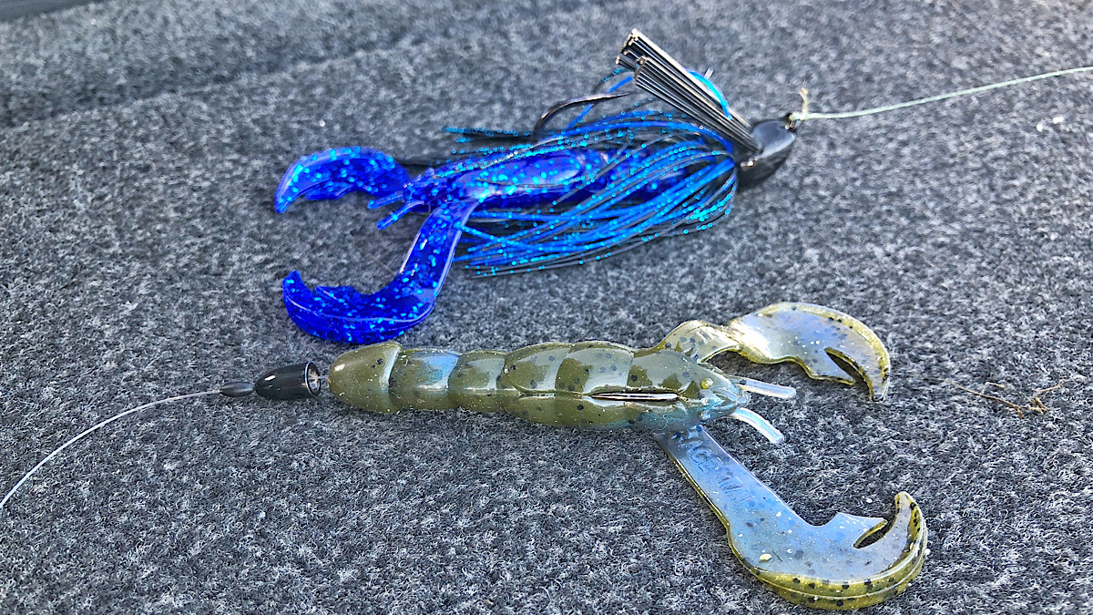 jig and texas rig for bass fishing