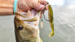 VMC HD Weighted Willow Swimbait Hook Review