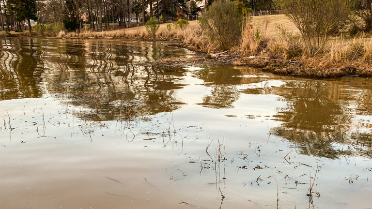 How to Bass Fish Early Season Warm Fronts