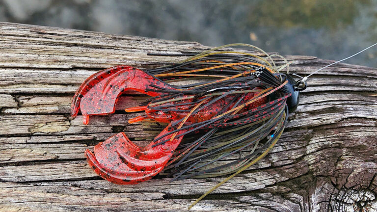 5 Best Uses for ElaZtech Baits in Bass Fishing