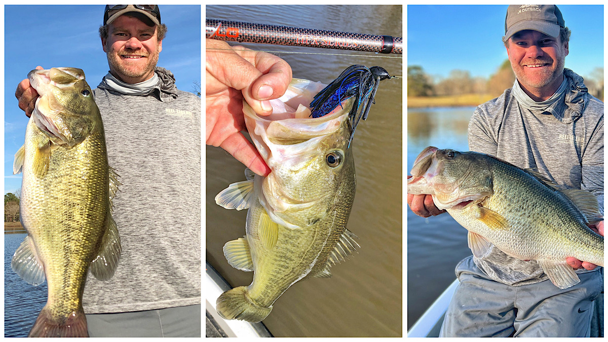 three big bass caught