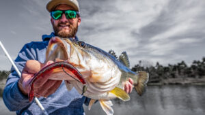 How to Drag Worms for Cold Water Bass