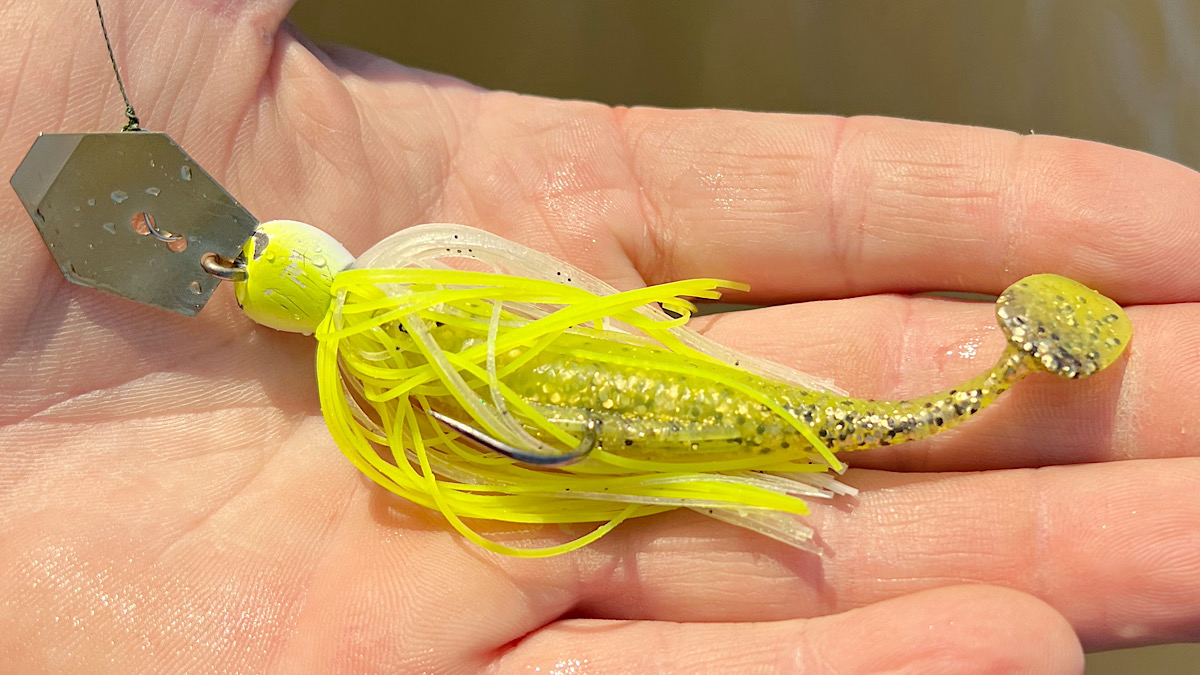 chatterbait with swimbait trailer in hand