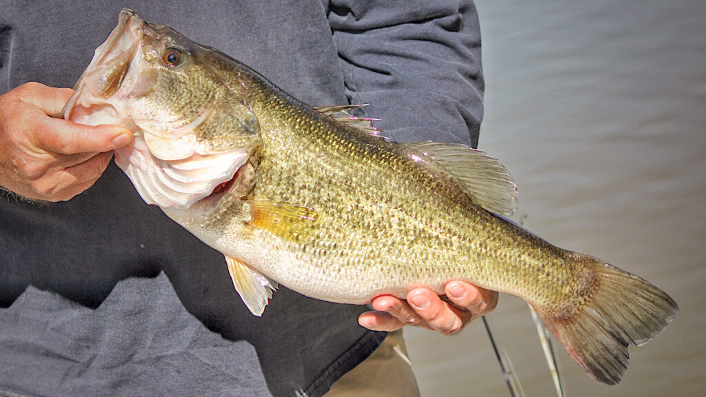 3 Great Ways To Use A Split Shot For Bass Fishing - Wired2Fish