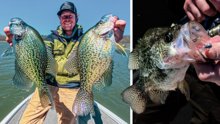 How to Catch Crappies on Jigs Around Trees