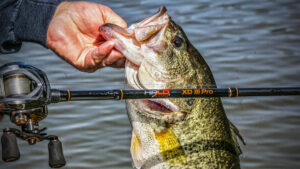 Halo Fishing XD III Pro Series Casting Rod Review