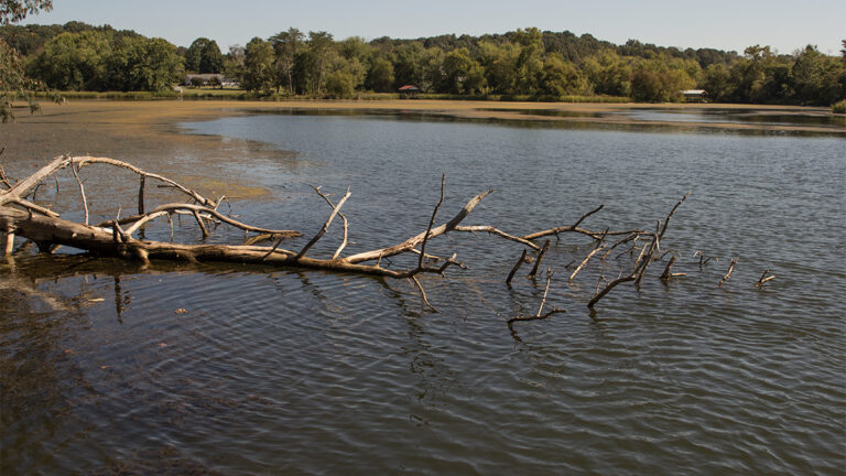 4 Overlooked Spring Bass Fishing Patterns