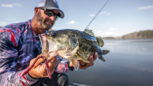 Best Weedless Wacky Rig and Colors for Spring Bass