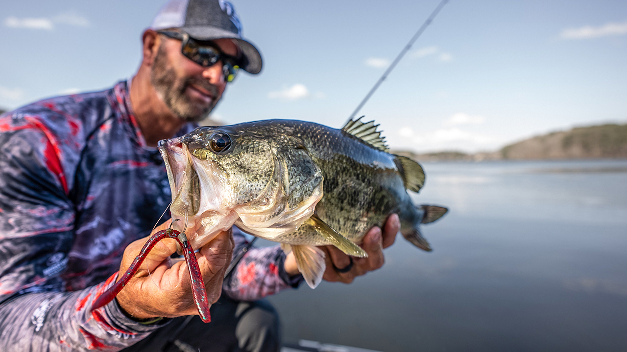 Best Weedless Wacky Rig and Colors for Spring Bass - Wired2Fish